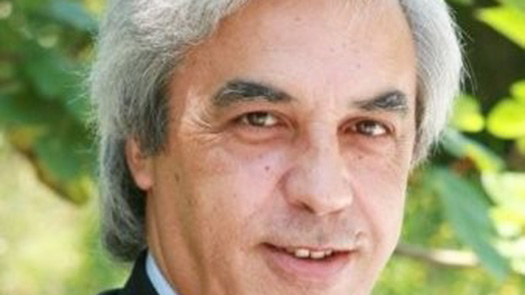 Prof. Doutor Luís Martins