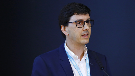 Prof. Doutor Pedro Marques