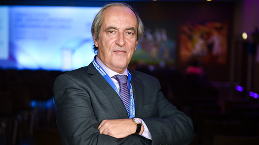 Prof. Doutor Fernando Maltez Prof. Doutor Fernando Maltez